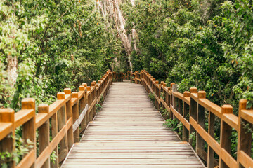 Conexión natural en Bariloche, Argentina.