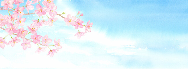 Obraz na płótnie Canvas 青空に桜の花の背景　水彩イラスト　手描きアナログ 横長サイズ