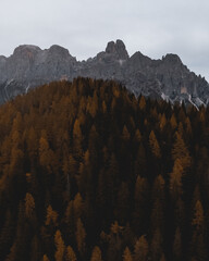 Dolomiti
