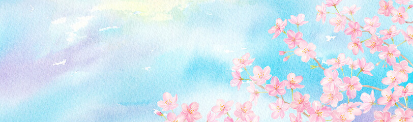 Fototapeta na wymiar 虹色の空と桜の花の背景　水彩イラスト　手描きアナログ 横長サイズ