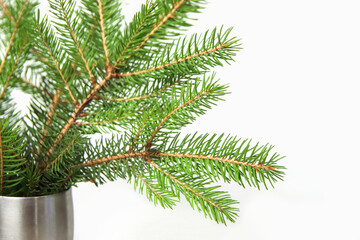 Bouquet of fir branch or spruce branch with needles isolated on white background in silver vase. Green natural branches. Frame and border. Copy space. Christmas holiday concept. Close-up