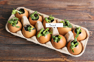 Tag with word SEED and young plants in eggshells on wooden background