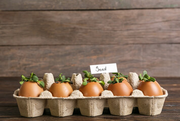 Tag with word SEED and young plants in eggshells on wooden background