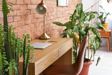 Fototapeta na wymiar Green houseplants near workplace in interior of room