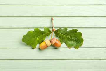 Branch with green leaves and acorns on color wooden background