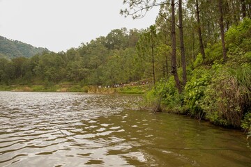 La sierra surutato sinaloa