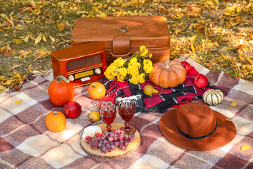 Plaid with tasty food and wine for romantic picnic in park