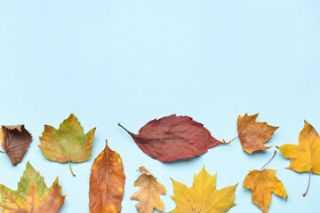 Different autumn leaves on color background