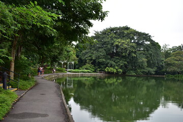 Fototapeta na wymiar Peace like a River, ,National Park Singapore, Botanical Garden, Old Garden 