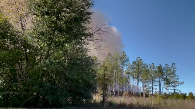 POV close street view of large smoke clouds from a forest fire controlled burn