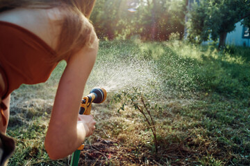 watering tree garden nature summer cultivation growing