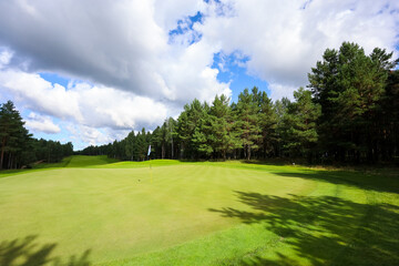 Golf course, landscape, green grass on the background of the forest and a bright sky with clouds....