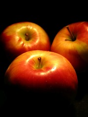 red and yellow apples