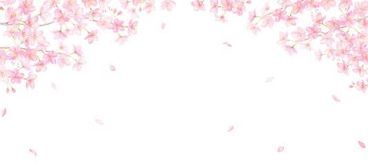 Obraz na płótnie Canvas 水彩で描く桜と花びらの背景　アナログ手描き