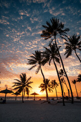 sunset over the beach with palm trees 