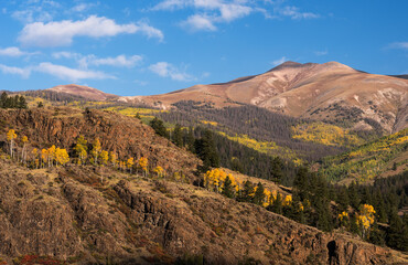 Early autumn golden aspen changing color in South Western Colorado, near Lake City Colorado.
12,772 ft. Grassy Mountain is  part of the San Juan Mountain Range.