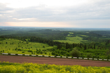 Obraz premium View of the sunrise in the forest