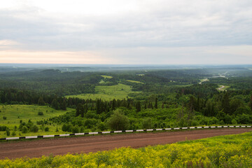 View of the sunrise in the forest