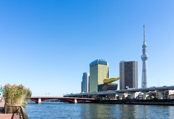 隅田川沿いの風景　タワーと高層ビルと鉄道橋
