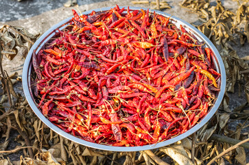 Fototapeta premium Drying a dish of delicious red chili peppers under the sun in the village