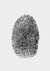 Detailed line fingerprint vector on white background