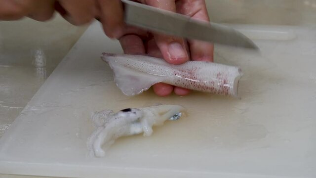 Female cuts fresh octopus or raw squids on home kitchen board