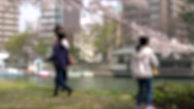 ぼかし背景素材: 満開の桜を楽しむマスク姿の親子  4K  広島平和記念公園の桜風景  2021年3月29日撮影