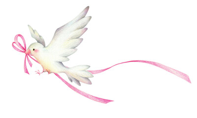 Fototapeta premium ピンクのリボンをくわえた白い鳥 手描き色鉛筆画