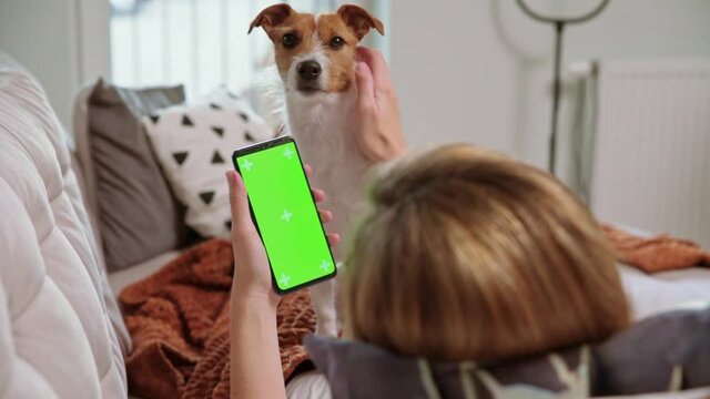 Woman resting on sofa at living room and watching online video on smartphone with green screen. Using chroma key display