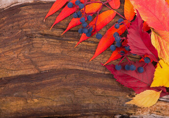 autumn background of fall leaves on the wooden board