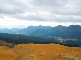 すすきの草原の風景