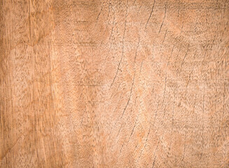 Wood texture. Wood texture for design and decoration

