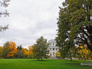 Fototapeta na wymiar View of the Elaginoostrovsky Palace and a three-hundred-year-old English oak tree from under the branches of a larch in the park of St. Petersburg