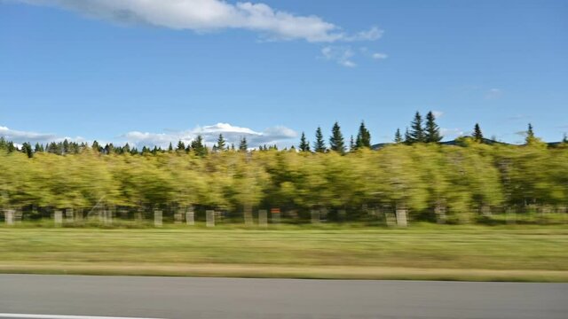 Driving on side road with scenery in autumn season