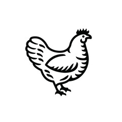 Fototapeta na wymiar Chicken icon. Best for menus of restaurants, cafes, bars and food courts. Black line vector isolated icon on white background. Vintage style.