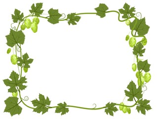 Rectangular Frame with Hops. A branch with dense leaves and cones. Sagging shoots with leaves. Wild nature. Flat style illustration with place for text. Isolated on white. Vector
