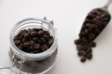 ラオスのアラビカ種のコーヒー豆