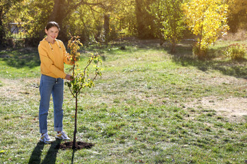 Mature woman planting young tree in park on sunny day, space for text