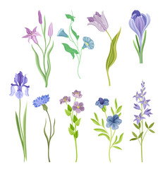 Blue and Purple Flower or Delicate Blossom on Leafy Stem Vector Set