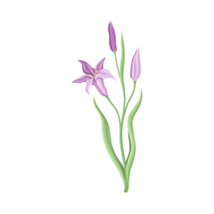 Purple Flower or Delicate Blossom on Leafy Stem Vector Illustration