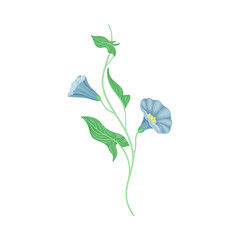 Fototapeta na wymiar Blue Flower or Delicate Blossom on Leafy Stem Vector Illustration