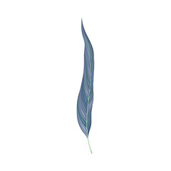 Blue leaf, trendy colors floral design element vector illustration