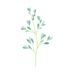 Fototapeta na wymiar Beautiful plant with blue leaves, trendy color floral design element vector illustration