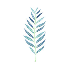 Twig flower with narrow blue leaves, trendy color floral design element vector illustration