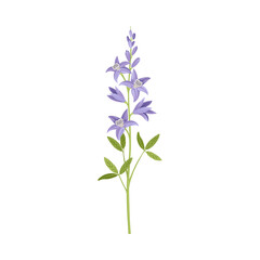 Fototapeta na wymiar Purple Flower or Delicate Blossom on Leafy Stem Vector Illustration