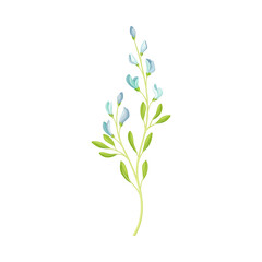 Fototapeta na wymiar Blue Flower or Delicate Blossom on Leafy Stem Vector Illustration
