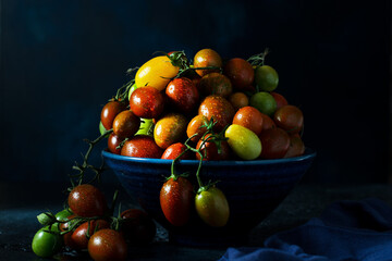 Fresh organic cherry tomatoes on a branch, colorful seasonal tomatoes in a bowl on a dark background