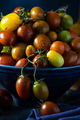 Fresh organic cherry tomatoes on a branch, colorful seasonal tomatoes in a bowl on a dark background