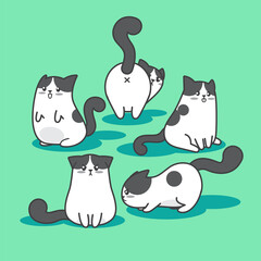 Collection of cute and playfu chubby cat cartoon character in multiple actions and facial expression