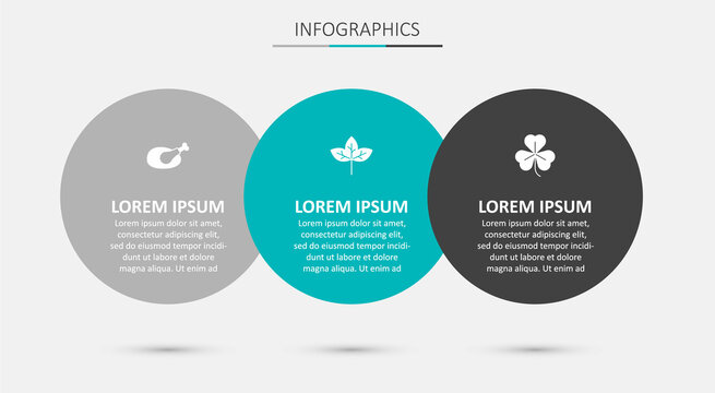 Set Leaf, Roasted turkey or chicken and Clover. Business infographic template. Vector